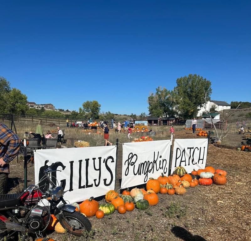 An old motorbike parked in front of the Gilly's Pumpkin Patch banner