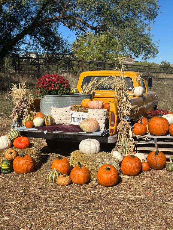 The back of a vintage yellow pickup loaded with pumpkins, hay bales and a Pumpkins sign at Gilly's Pumpkin Patch