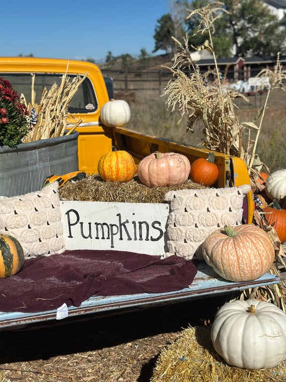 The tailgate of the yellow pickup at Gilly's with pumpkins, pillows and a hand-lettered Pumpkins sign