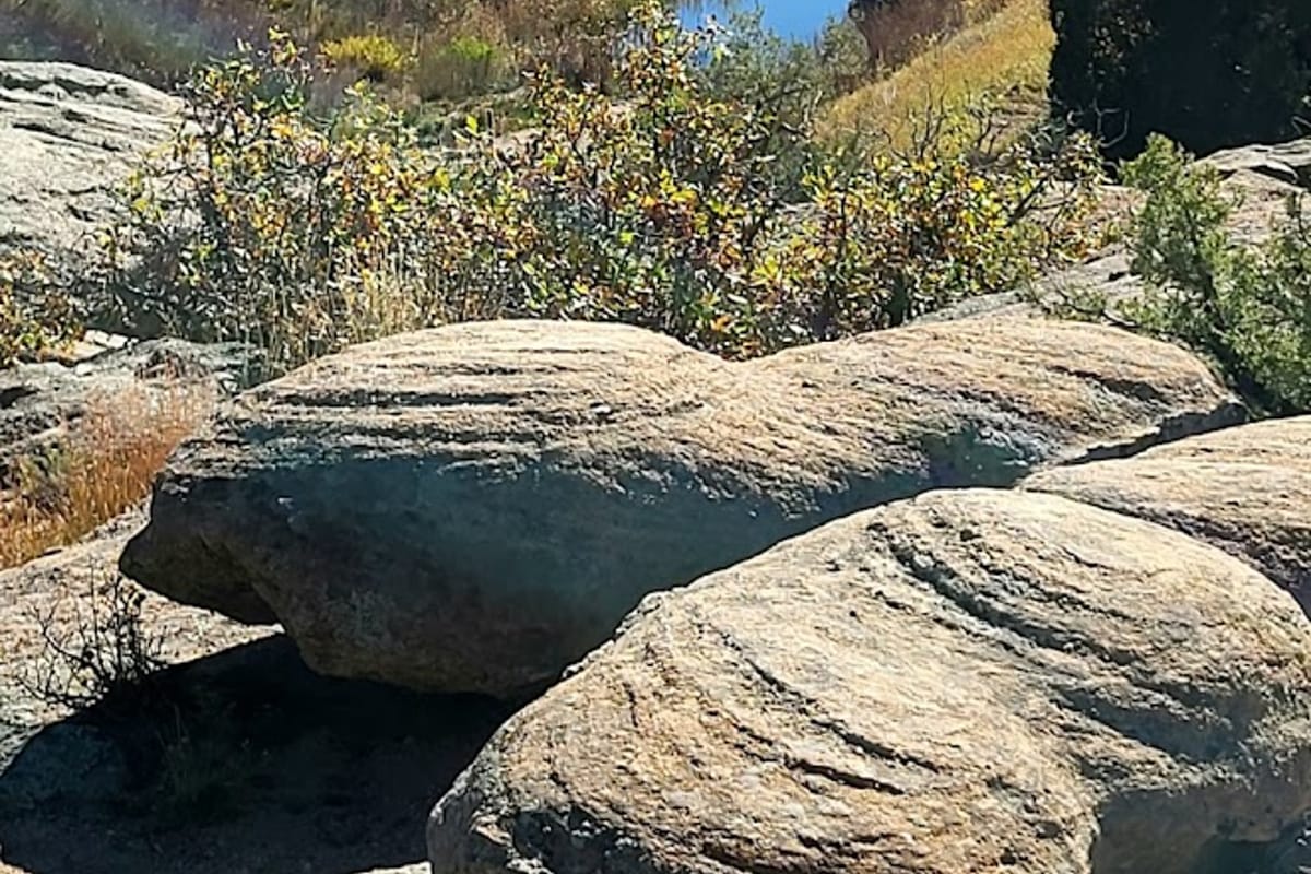 East Canyon Preservation Trail featured offerings