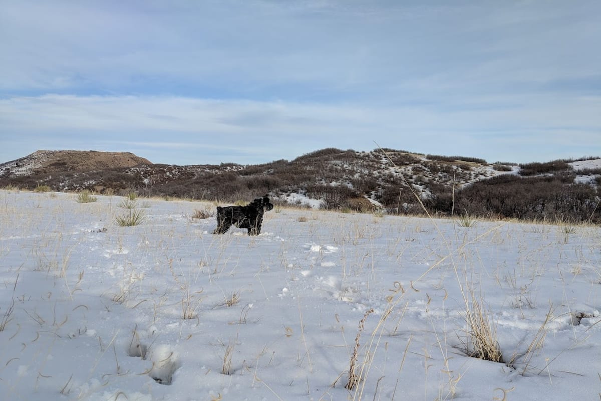 Ridgeline Trail featured offerings