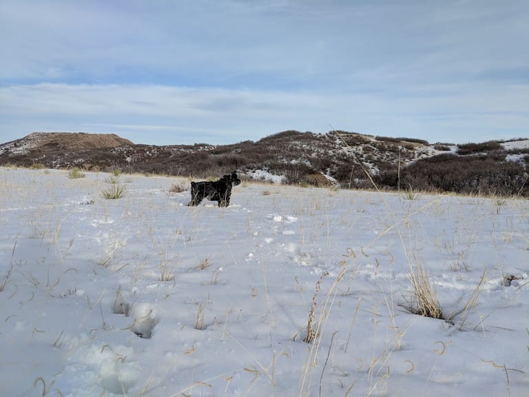 Ridgeline Trail featured offerings