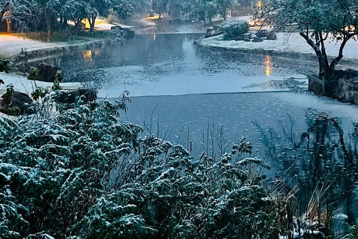 The Duck Pond dining area