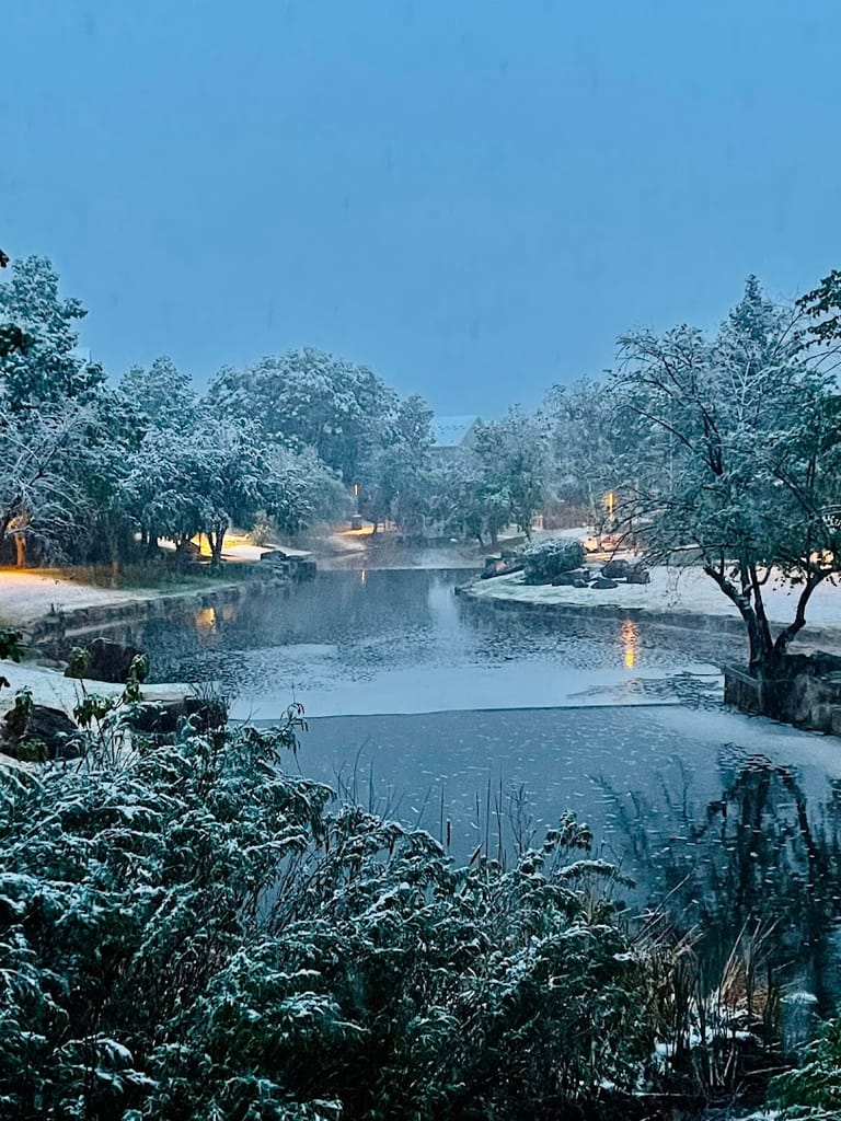The Duck Pond dining area