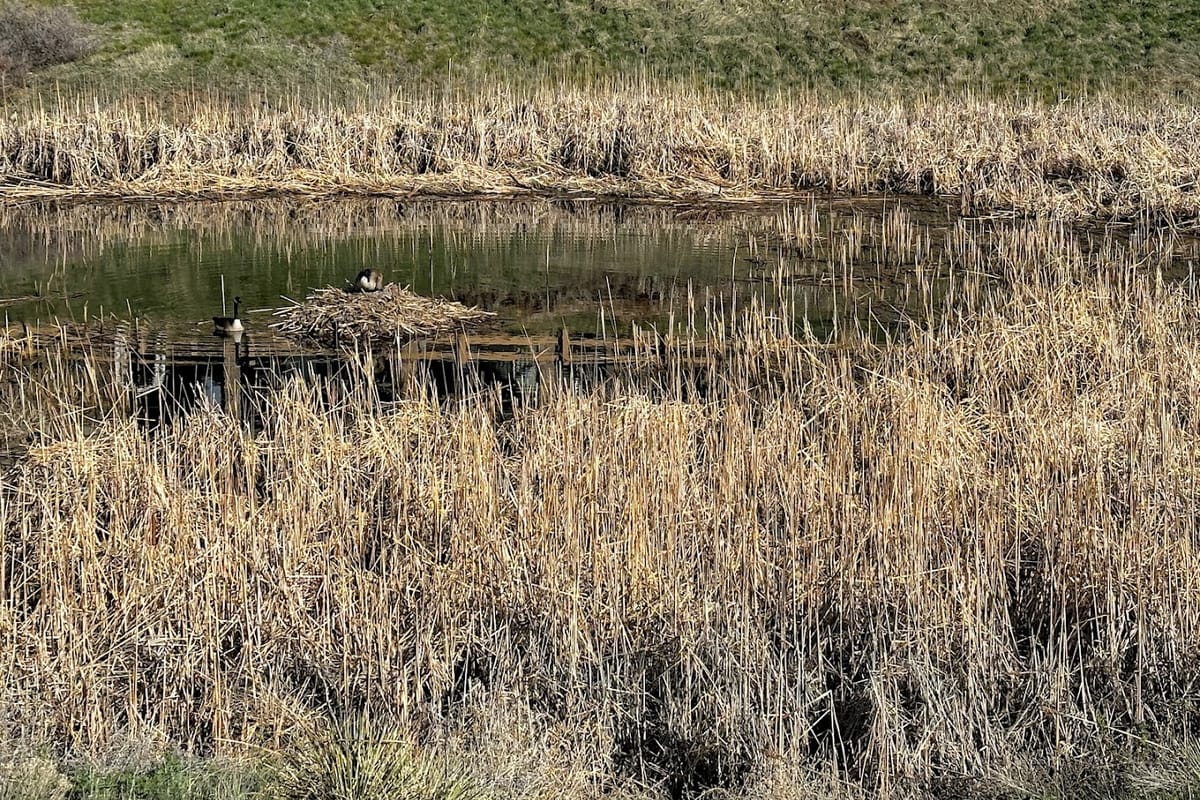 The Hearthfire Pond atmosphere and seating