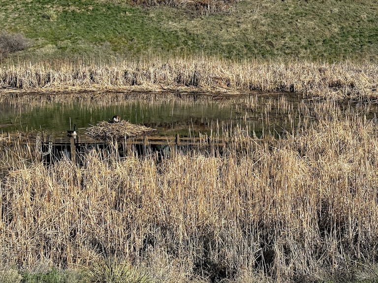 The Hearthfire Pond atmosphere and seating