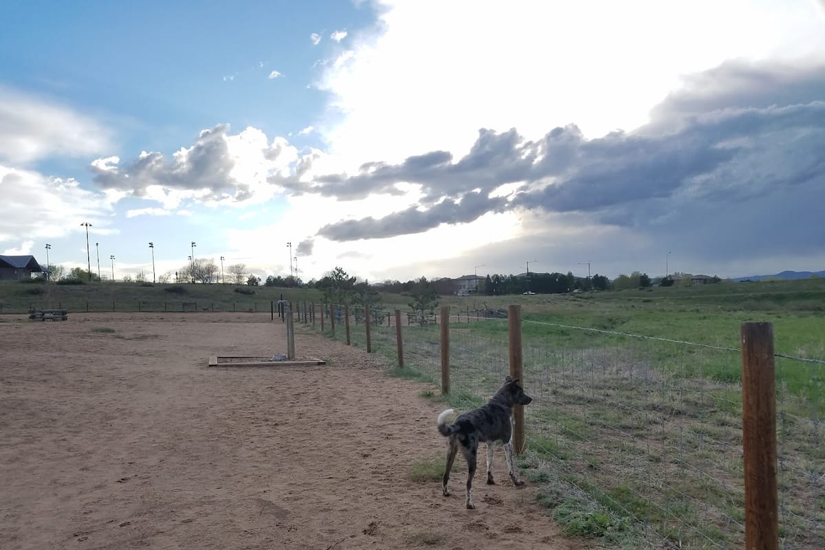 Rover's Run at Redstone Park featured offerings