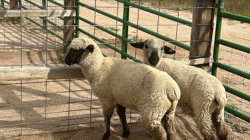 CALF's Lowell Ranch — venue hosting Business Unwind: Building Bridges with Nonprofits