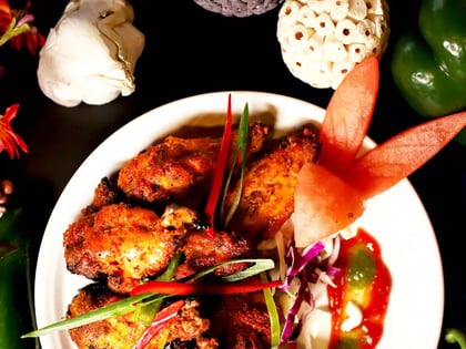 Highlands Indian Cuisine in Highlands Ranch, Colorado