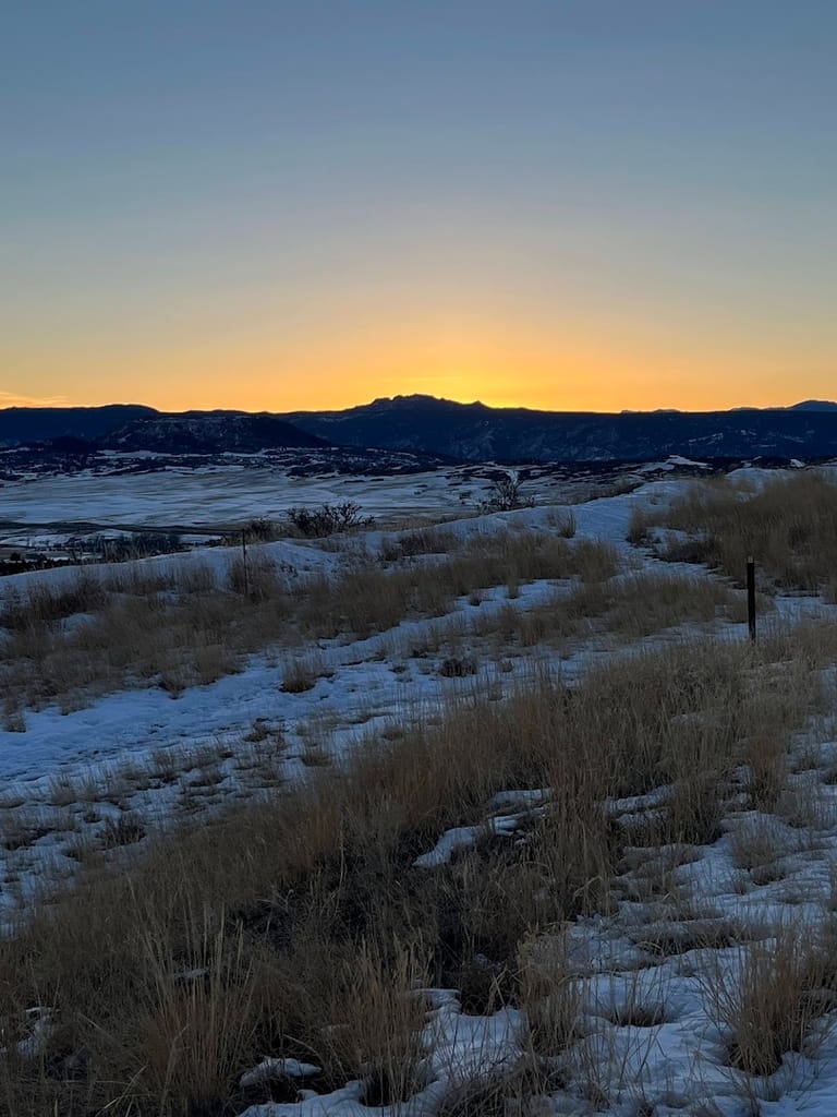 Quarry Mesa Open Space featured offerings