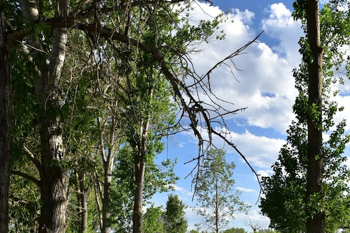 McCabe Trailhead atmosphere and seating