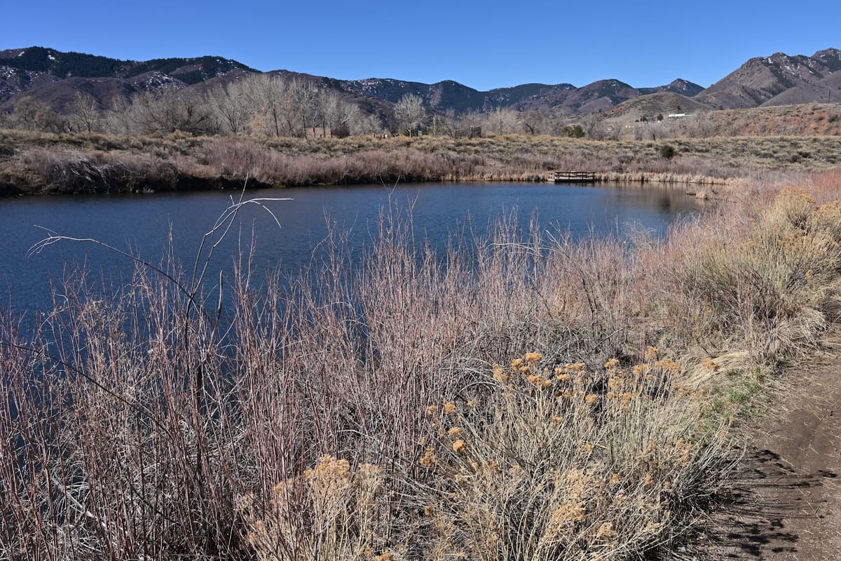 Denver Audubon Kingery Nature Center atmosphere and seating