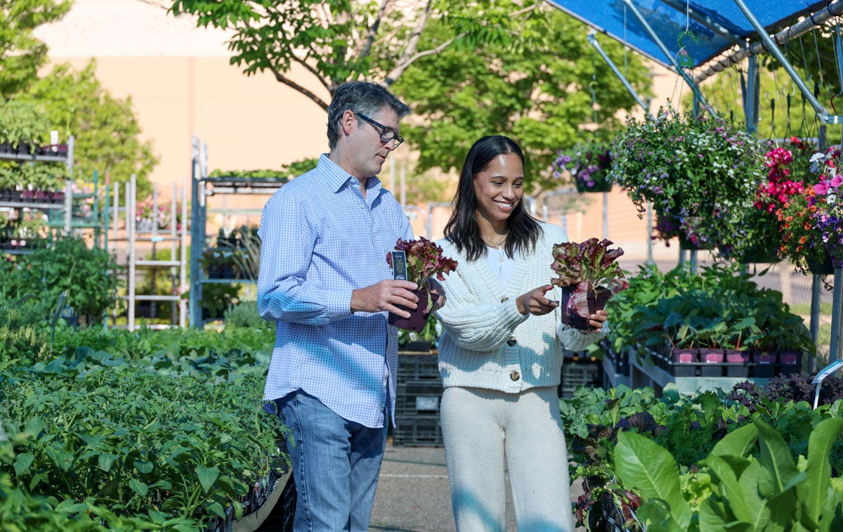 Plum Creek Garden Market featured offerings