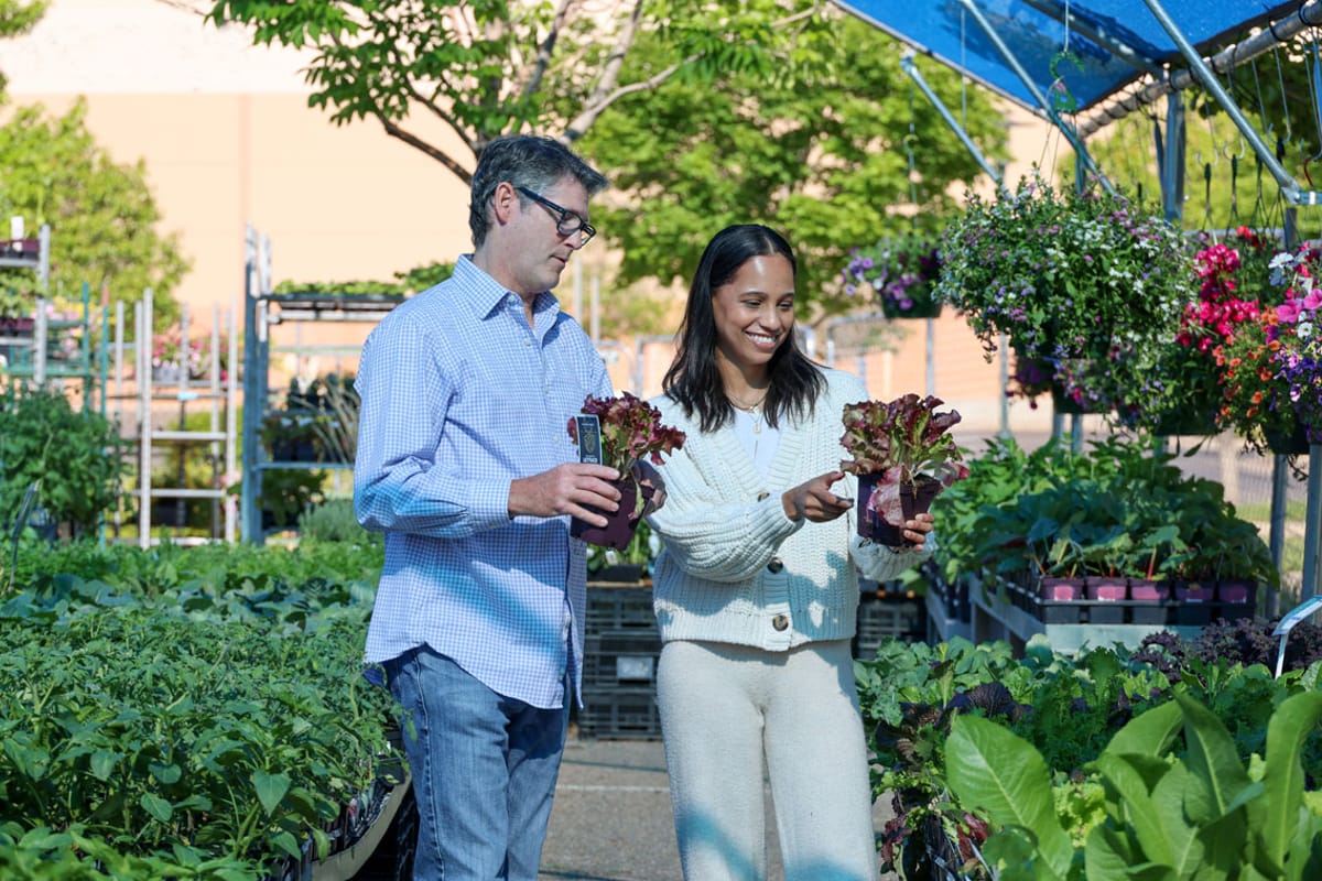 Plum Creek Garden Market featured offerings