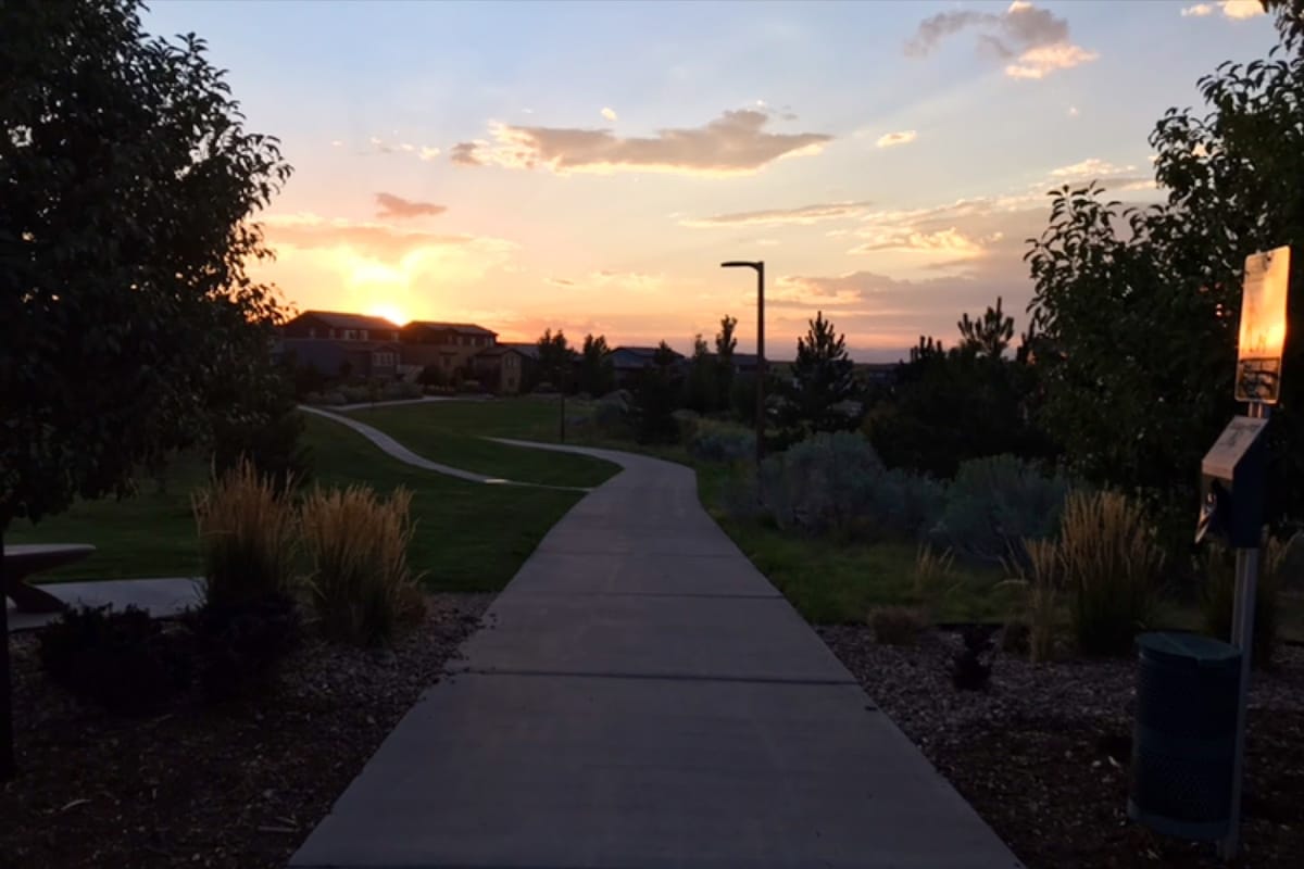 Sunburst Park featured offerings