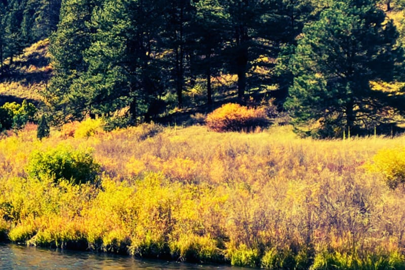 AE Frees Wellness spa in Castle Rock, Colorado