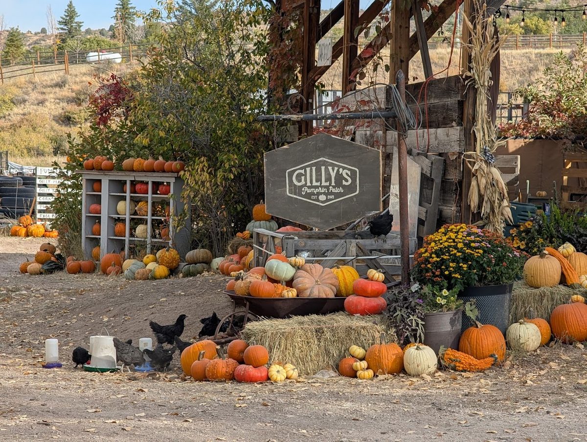 Gilly's Pumpkin Patch 2026 announcement graphic reading We Are Back, Autumn 2026, with dates September 25-26, October 2-3 and October 9-10, Fridays and Saturdays 10 a.m. to dark.