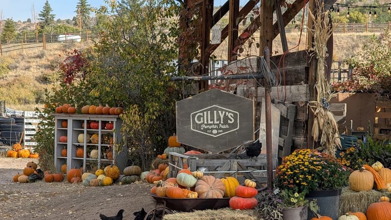 Gilly's Pumpkin Patch 2026 at Gilly's Pumpkin Patch