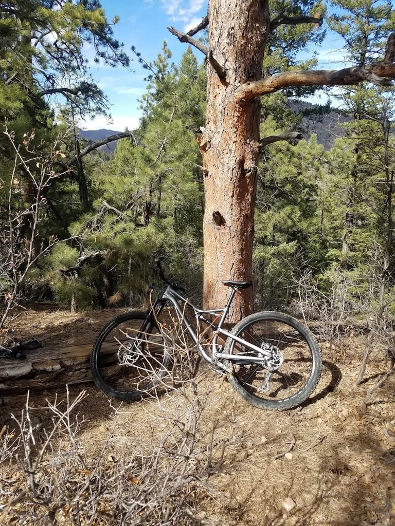 Colorado Trail / Indian Creek Trail Junction dining area