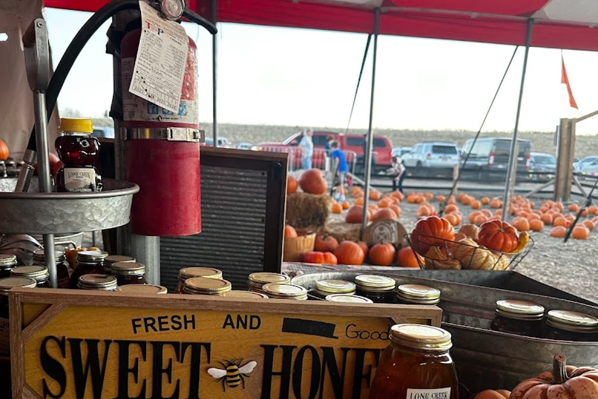 Lone Creek Farms atmosphere and seating
