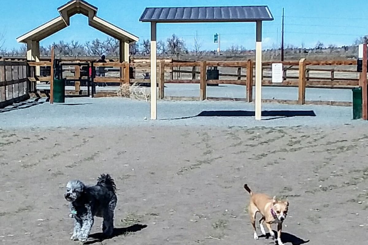 USMC CPL David M. Sonka Dog Park atmosphere and seating