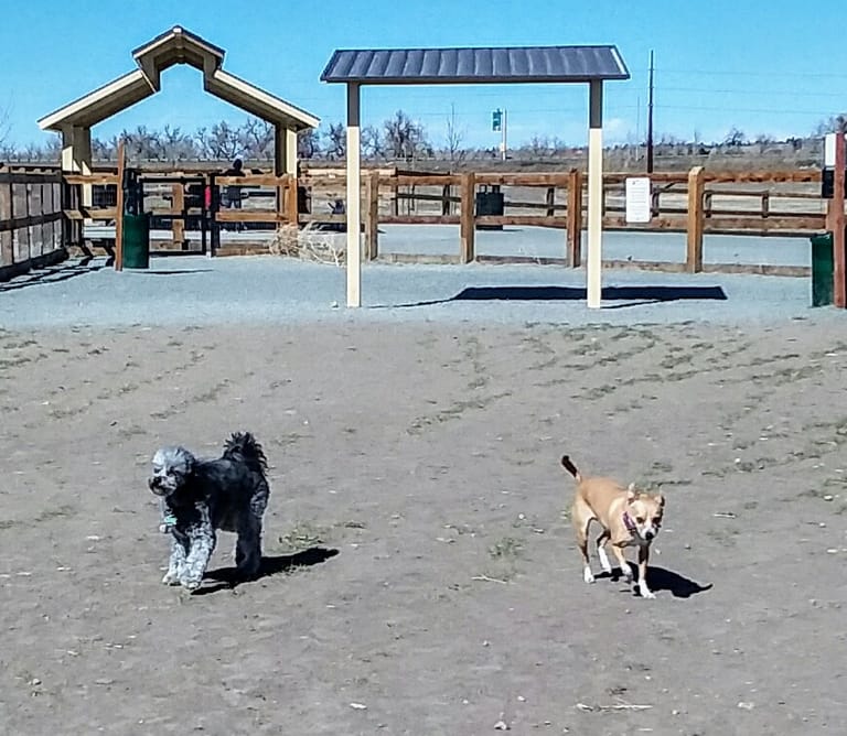 USMC CPL David M. Sonka Dog Park atmosphere and seating