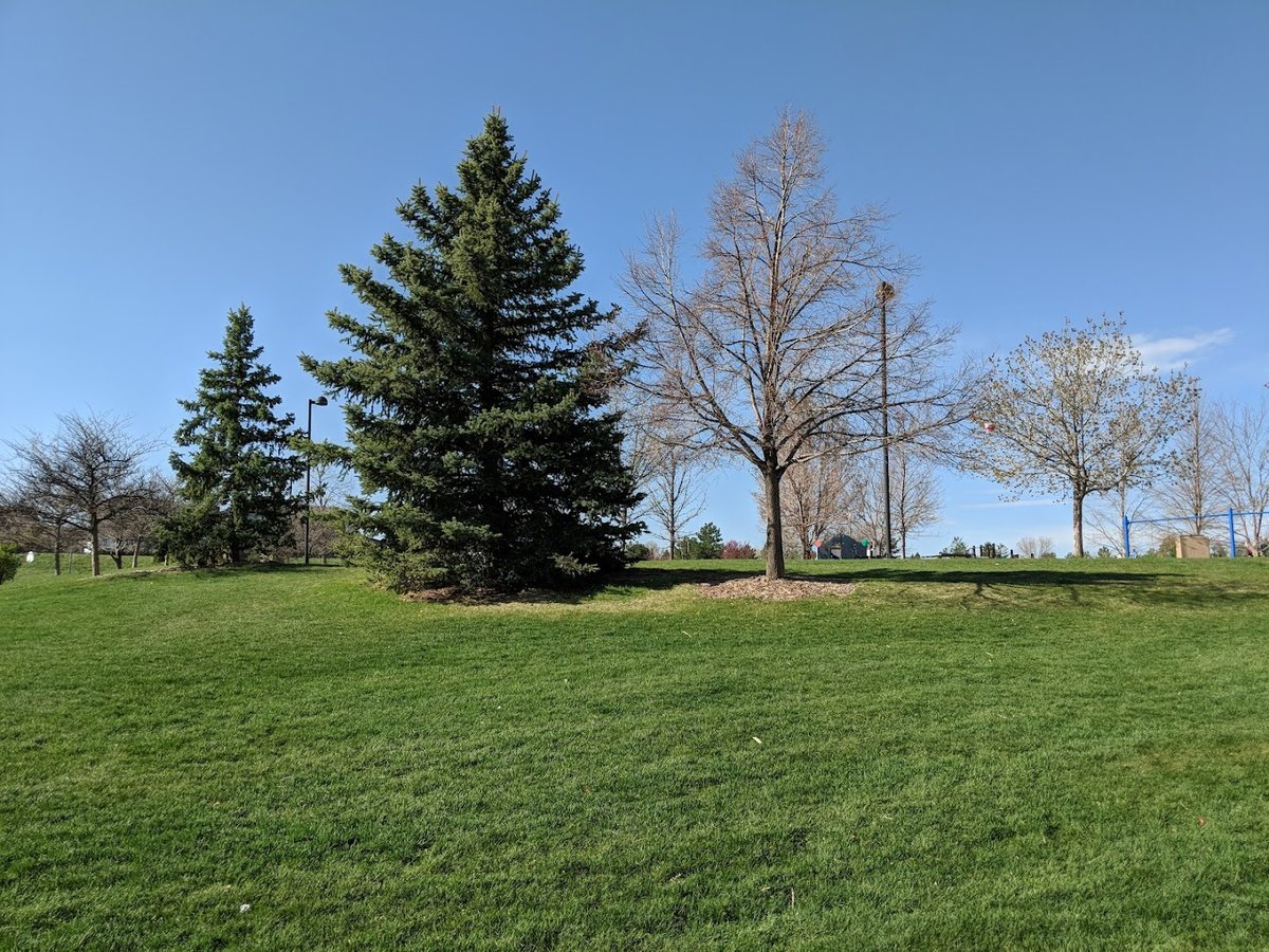Cougar Run Park dining area
