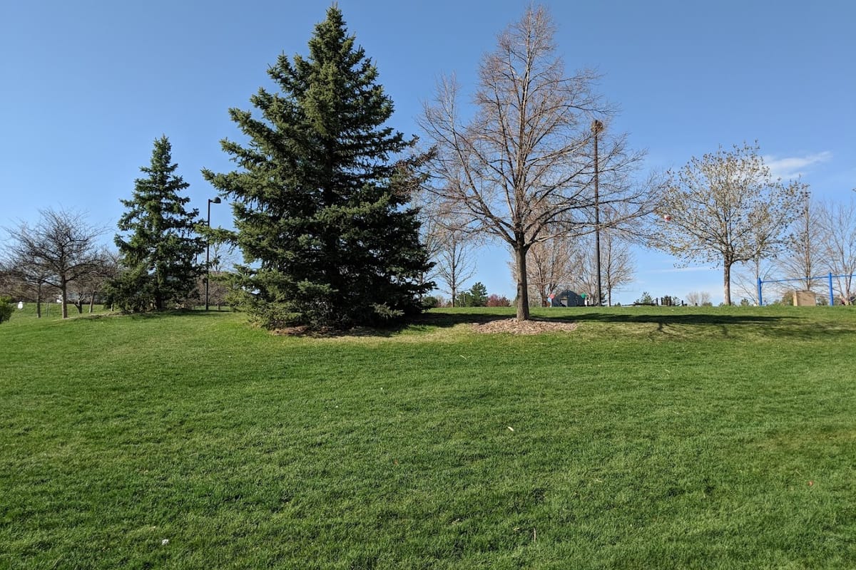 Cougar Run Park dining area