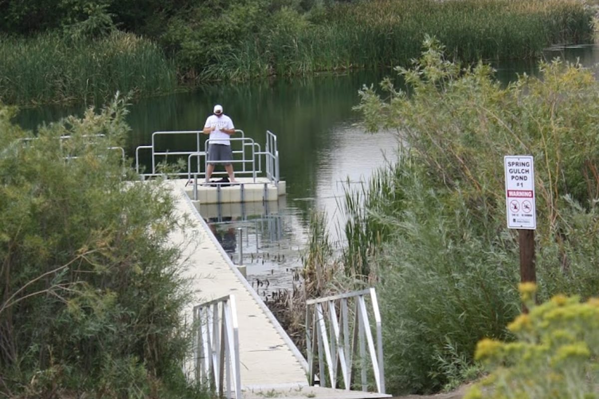 Interior view of Spring Gulch Pond