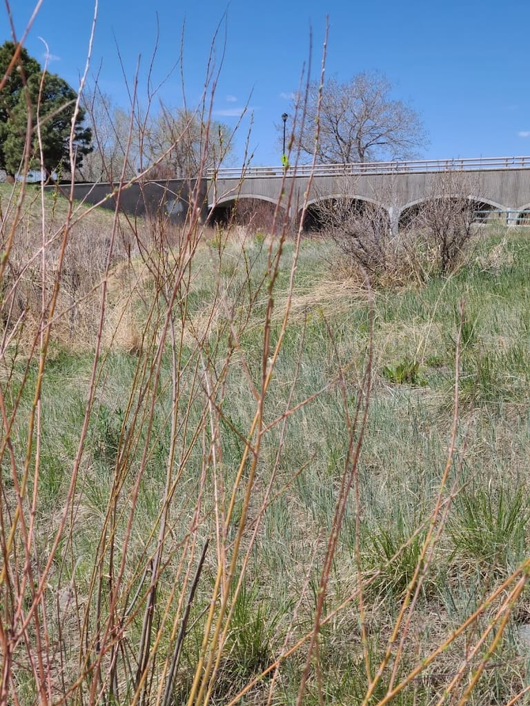 Riva Ridge Parks exterior entrance