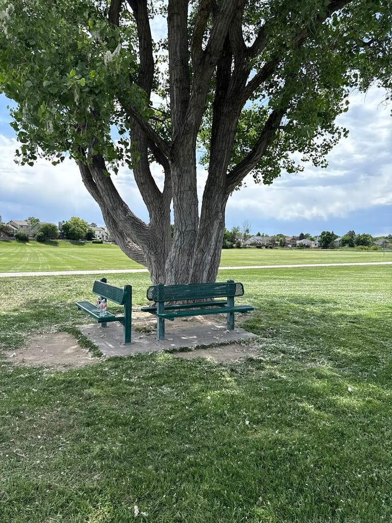 Cottonwood Park West Playground dining area