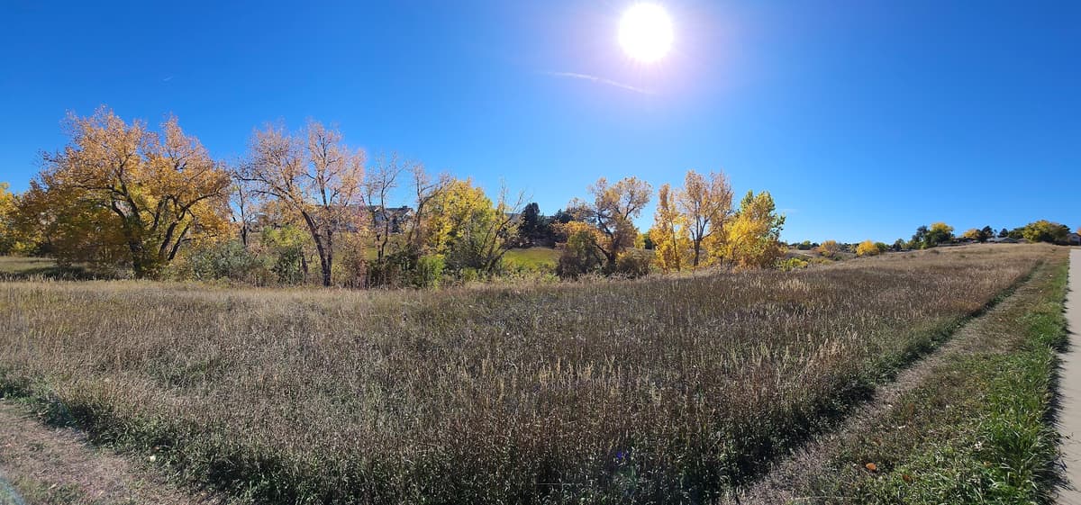 Maximus Trail Park park in Lone Tree, Colorado