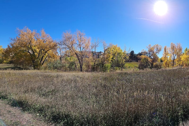 Maximus Trail Park park in Lone Tree, Colorado