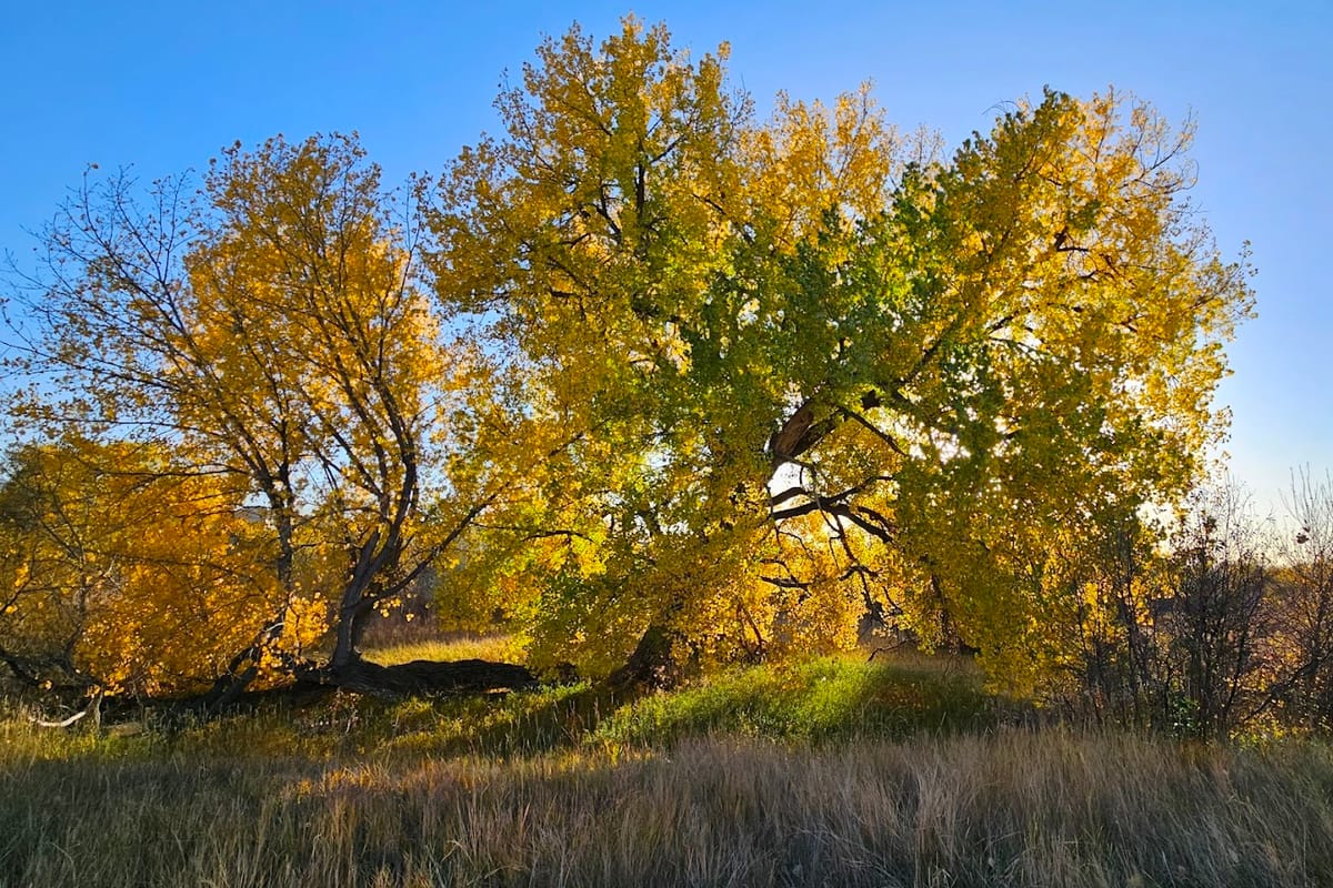 Interior view of Sulphur Gulch Trail