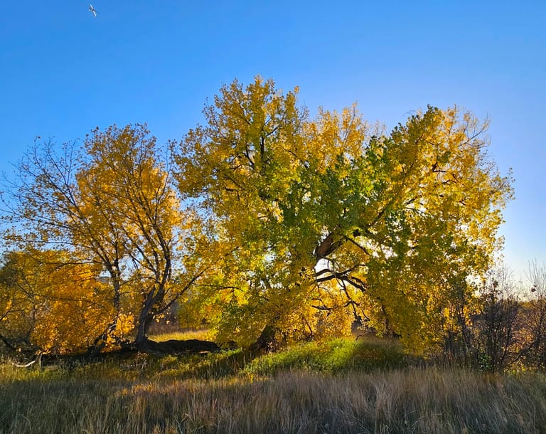 Interior view of Sulphur Gulch Trail