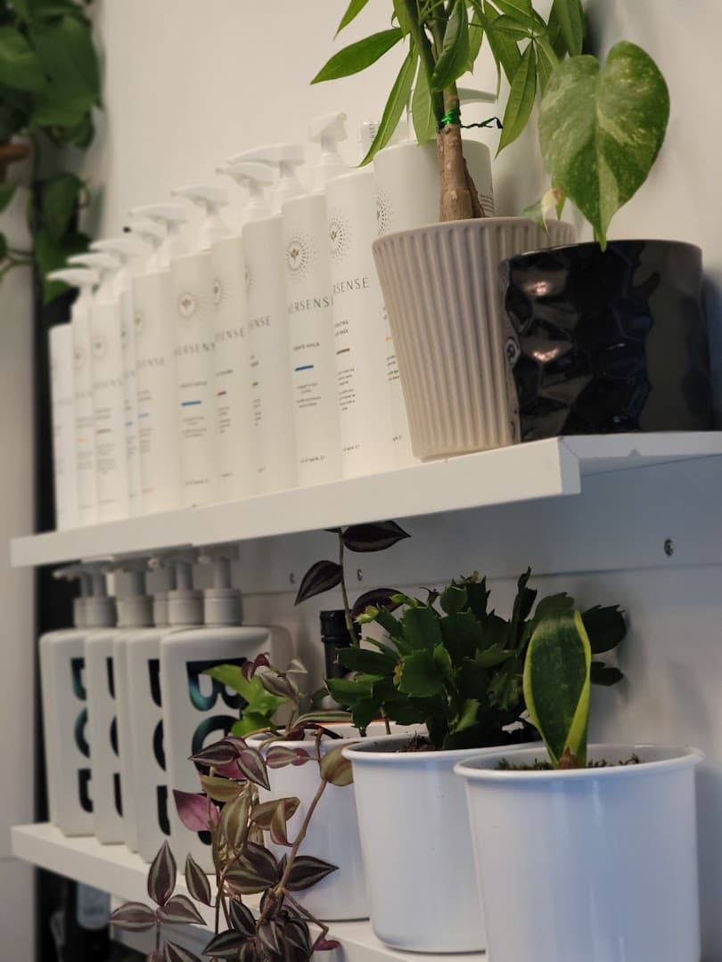 DeAnna's Hair Haven salon in Lone Tree, Colorado