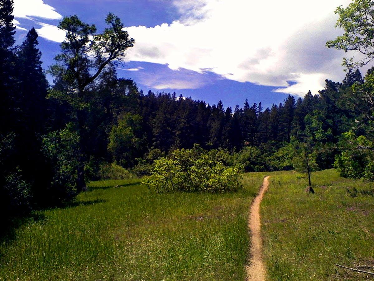 Colorado Trail / Indian Creek Trail Junction park in Sedalia, Colorado