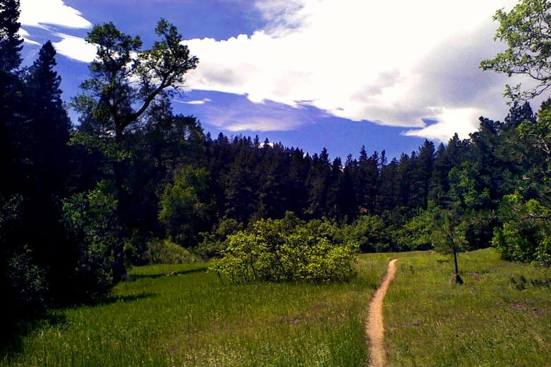 Colorado Trail / Indian Creek Trail Junction park in Sedalia, Colorado