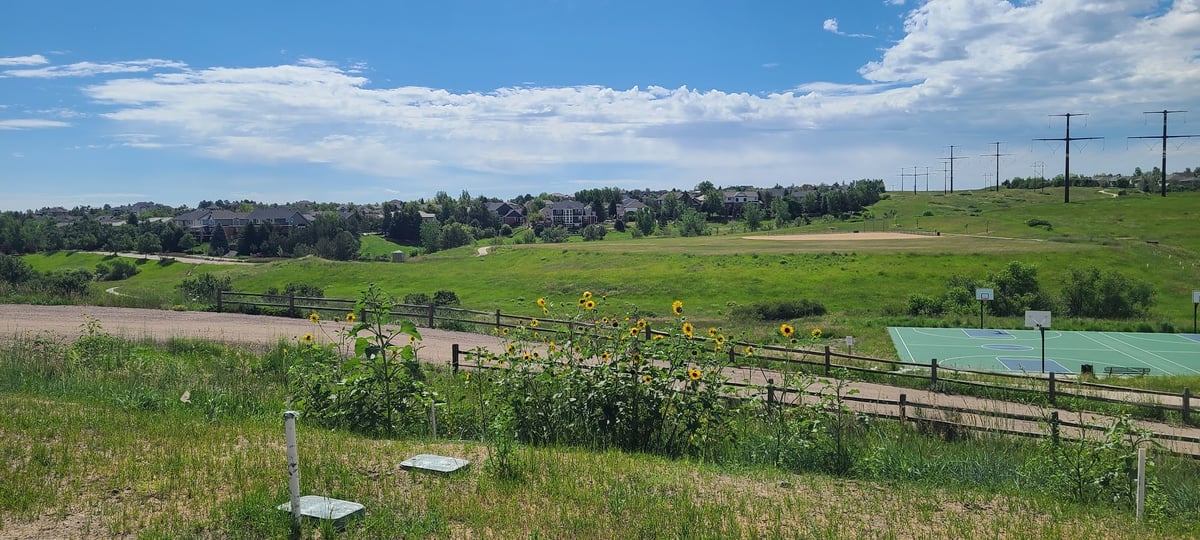Coyote Ridge Park dining area