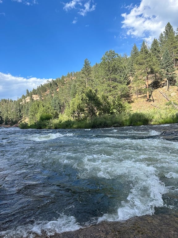 Cheesman Canyon