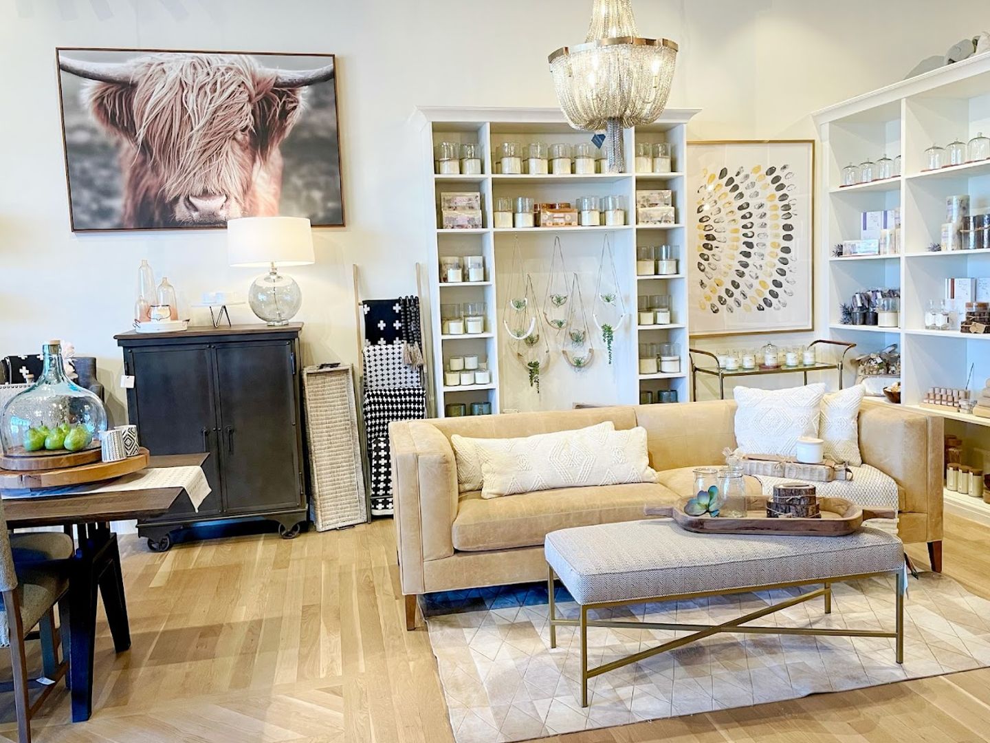 Niche & Co retail store in Castle Rock, Colorado