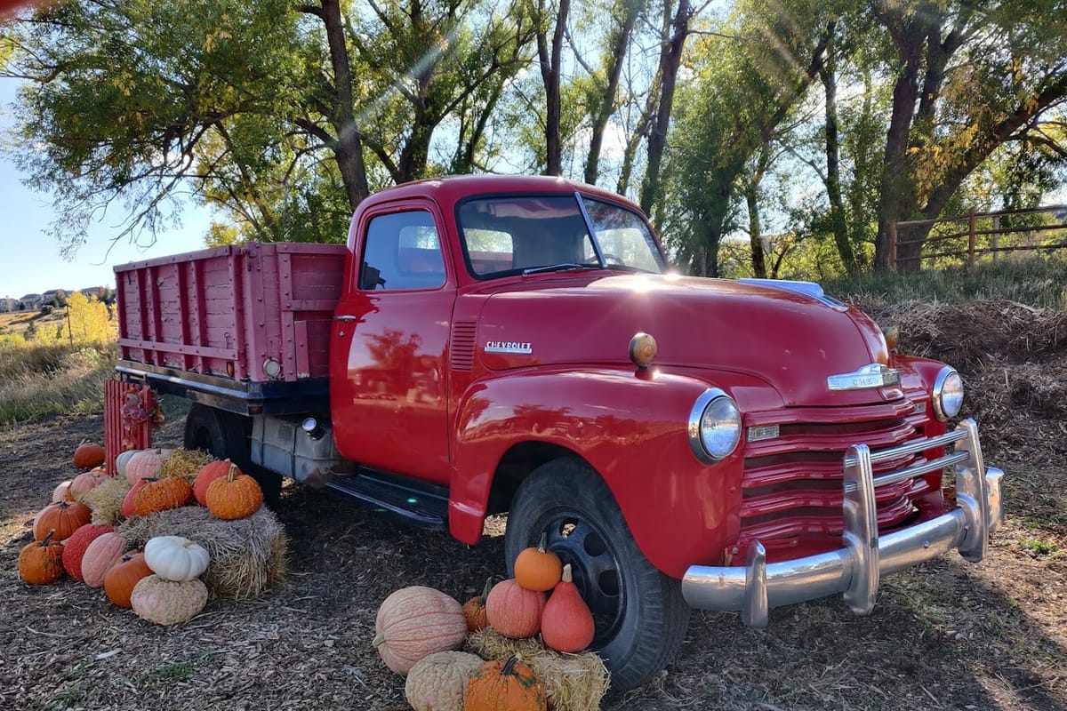 Gilly's Pumpkin Patch atmosphere and seating