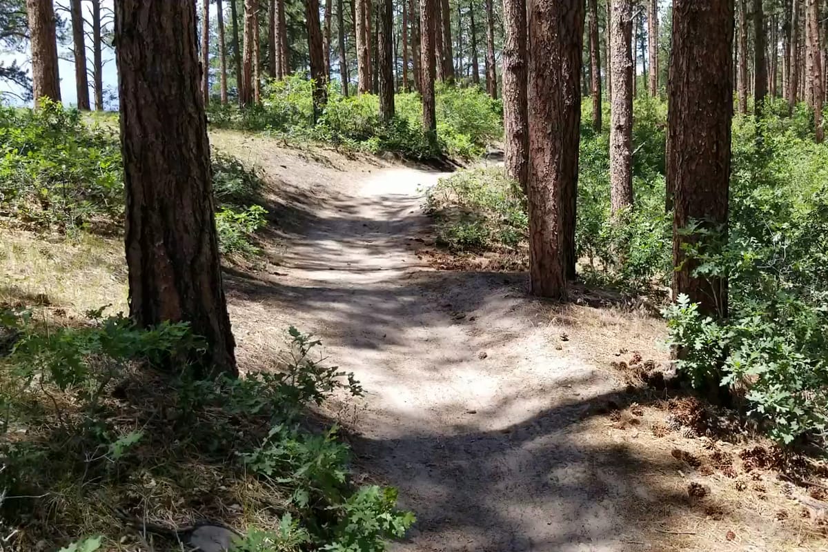 Interior view of Dawson Butte Ranch Open Space Trail