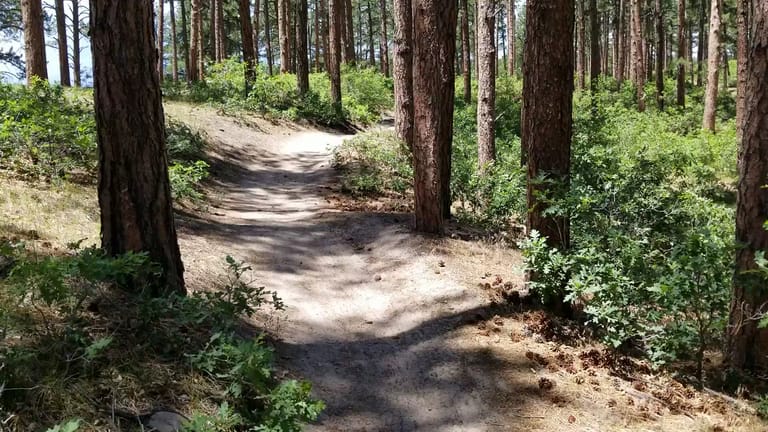 Interior view of Dawson Butte Ranch Open Space Trail