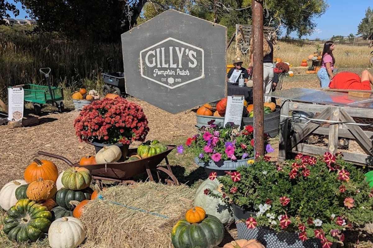 Interior view of Gilly's Pumpkin Patch