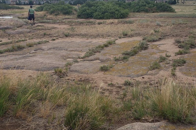 Matney Disc Golf Course park in Castle Rock, Colorado