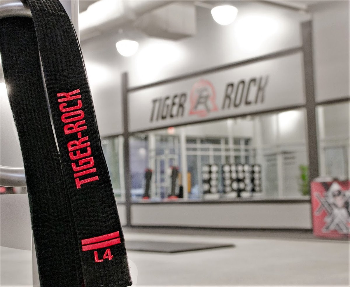 Tiger-Rock Martial Arts of Lone Tree featured offerings
