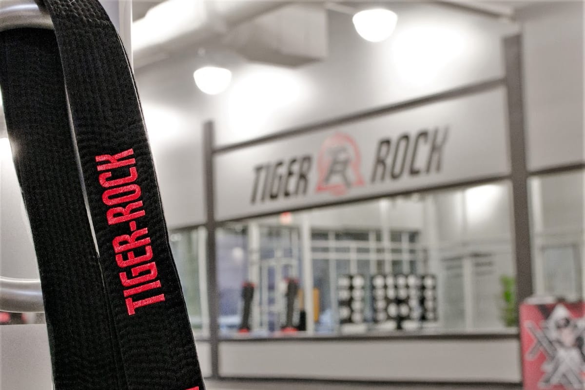 Tiger-Rock Martial Arts of Lone Tree featured offerings