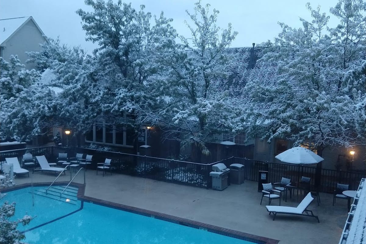 Residence Inn by Marriott Denver Highlands Ranch featured offerings