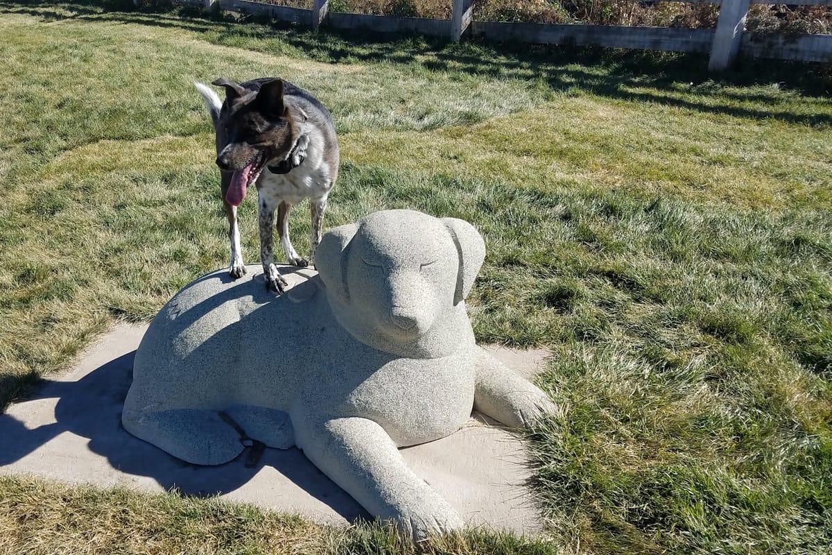 Douglas County Off-leash Area exterior entrance